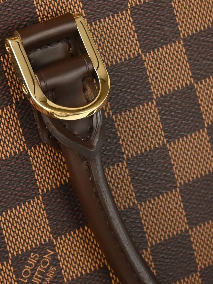 Pre-OwnedLouis Vuitton Pre-Owned2004 Damier Triana handbag