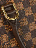 Pre-OwnedLouis Vuitton Pre-Owned2004 Damier Triana handbag