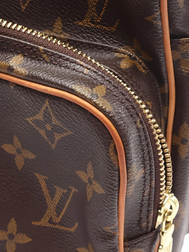 Pre-OwnedLouis Vuitton Pre-OwnedAmazon shoulder bag