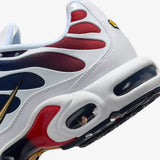  Air Max Plus Men's Shoes